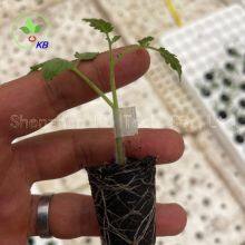 Silicone Grafting Tube Clips Use for Tomato Grafting 1.2-3mm Horticultural Silicone Grafting Clip thumbnail-4