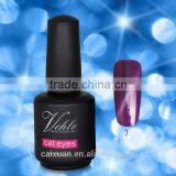 2015 New Brand Smartly 79colors Cheap Wholesale Cat Eye Color Gel Nail Polish 15ml With OEM Free Sample thumbnail-3