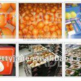 2013 China Honey Pomelo thumbnail-1