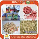 High Quality Spicy Peanuts/Peanuts ( Roasted Peanuts) Low Price thumbnail-1