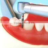 Low Price Good Quality Plastic Teeth Model Hot Sale Dental Material thumbnail-2