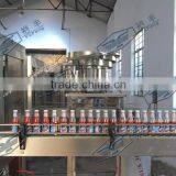 Tomato Sauce Filling Machine thumbnail-2
