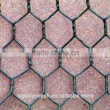 hexagonal mesh