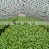 HOT SALE PLASTIC SUNSHADE NET