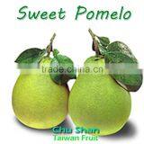 Fresh High Quality Pomelo thumbnail-4