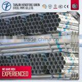 Hot Sale Pre Galvanized Tube Hot Sale for Green House thumbnail-4