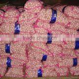 Fresh White Garlic 55-60cm Oganic Fresh Garlic thumbnail-1