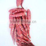 Chaotian Chilli thumbnail-2