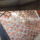Decorative Wall Paneling Glass Xxxr-y516