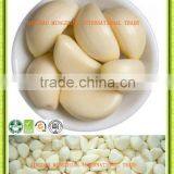 2014 Chinese Fresh Peeled Garlic , Peeled Garlic Cloves thumbnail-1