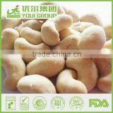 HAHAL BRC ISO Certificate Salted Roasted Cashews NON-GMO,Rich in Dietary Fibres, Good for Stomach thumbnail-5