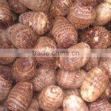 Fresh Chinese Taro thumbnail-1