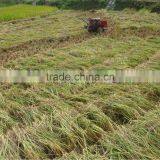 Factory Derectly Supply Mini Rice Combine Harvester thumbnail-5