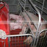Farrowing Crate for Sale Poultry Farm thumbnail-1