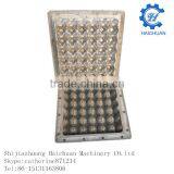 30 Cells Thermoforming Egg Tray Mould thumbnail-1