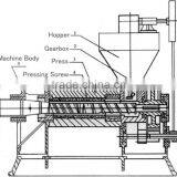 Watermelon Seed Oil Press Machine Screw Oil Press Machine thumbnail-5