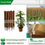 Greenhouse Plant Support thumbnail-1