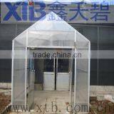 Tomato and Cucumber Greenhouse Multi Span Greenhouse thumbnail-1