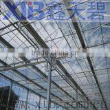 Green House Covering Material,tempered Glass and Float Glass Greenhouse Cover thumbnail-1
