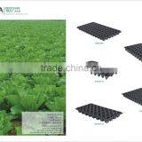 Plastic Seedling Tray Molding Machine thumbnail-3