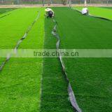 FIFA Factory Price pe Material Fake Turf Artificial Grass Lawn thumbnail-3
