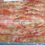 Frozen Pink Shrimp thumbnail-5