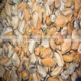 Frozen Mussels Freshwater thumbnail-1