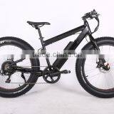 2017 New Style 26 Inch Fat Tire Electric Bike Snow Bike thumbnail-3