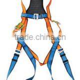 Pattern Safety Belt thumbnail-1
