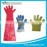 Food Processing Household HDPE Gloves