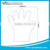Disposable Plastic Sanitary PE Gloves thumbnail-4
