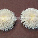 GALIXIA DIFFUSER FLOWER thumbnail-3