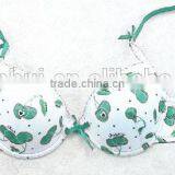 Cherry Bra/ Fashion Spandex Bra Sexy Bra Underwear Made in China thumbnail-1