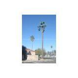 Palm Cell Tower thumbnail-1