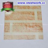 PPGI Prepainted Wooden Grain Pattern Steel Coil (CC)