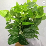 Real Looking Artificial Perilla Leaf With Top Plastic Material