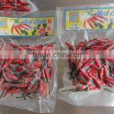 Frozen Hot Red Chili Pepper From Vietnam thumbnail-2