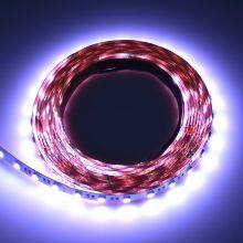 Low Price RGBWW Colour DC 24V Indoor 12MM Car Led Strip Light