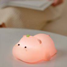 2024 Popular Baby Sleeping Lamp Usb Rechargeable Timing Switch Cute Silicone Small Night Light Touch Sensor Kids Lamp thumbnail-2