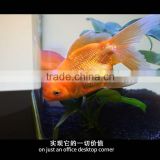 Hot sell acrylic fish tank aquarium with CE Rohs