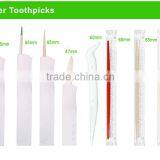 PP Food Grade pp Plastic Dental Toothpicks thumbnail-3