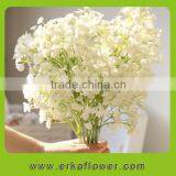 Nice pretty bud with snow white color babysbreath for flower collection