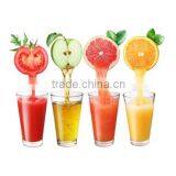 Hot Sale Commercial Fruit Juicer, Fruit Juicer Machine thumbnail-2