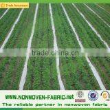 PP Spunbond Non Woven Black Mulching Film/Weed Control Fabric/Black Ground Cover