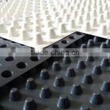 Hdpe Sheet Dimple Drain Board/ Dimple Drain Board thumbnail-4