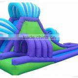 2016 Best Selling Slide! Used Inflatable Water Slide for Sale, Amusement Park Slide for Kids and Adults thumbnail-5
