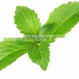 Organic Dried Stevia Leaves