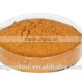 100% Nature Green Seabuckthorn Juice Extract Powder thumbnail-2