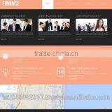 Responsive Website Designing Services India thumbnail-1