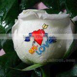 Inkjet Flower Printer thumbnail-1